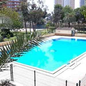 Apartamento en Benidorm